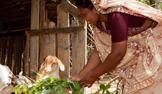 rural villagers